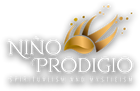 tienda.ninoprodigio.com